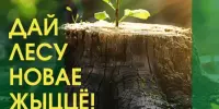 Дай лесу новае жыццё"