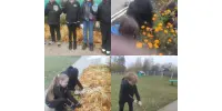Шестой школьный день